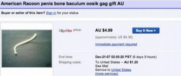 Funny eBay Auctions